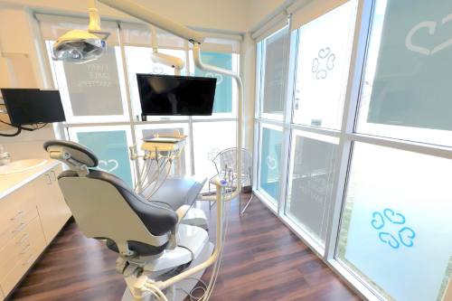 Professional teeth cleaning preparing for whitening